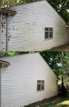 Before & After Pressure Washing the Mold off the side of a home in West Bloomfield, MI